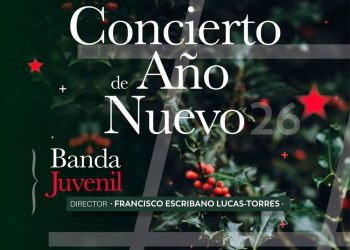 concierto_ano_nuevo_b