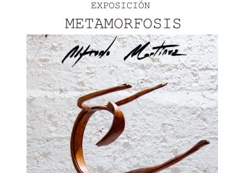 metamorfosis_b